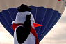 Roxana the penguin, mascot of Snowman Mania